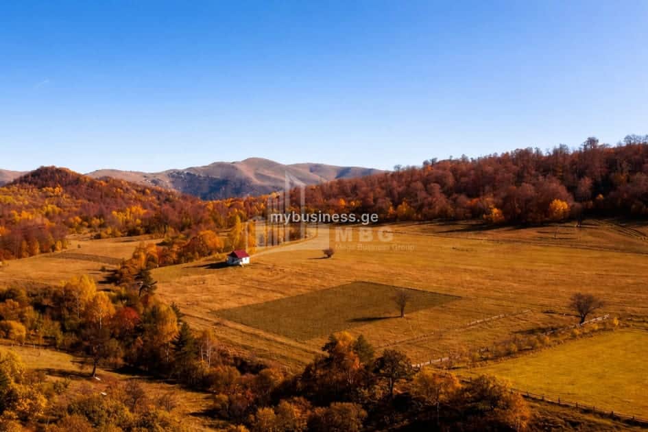 იყიდება მიწის ნაკვეთი კასპში (3/10)