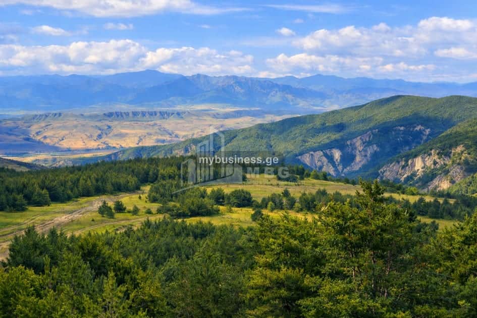 იყიდება მიწის ნაკვეთი კასპში (5/10)