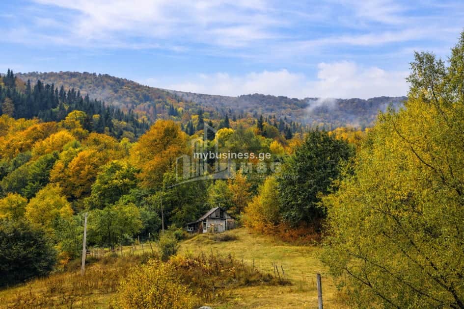 იყიდება მიწის ნაკვეთი კასპში (6/10)