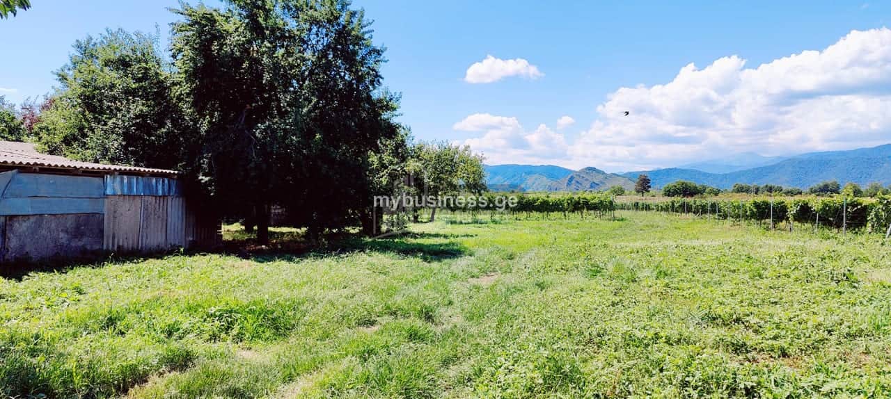 იყიდება მიწის ნაკვეთი ყვარელში (15/20)