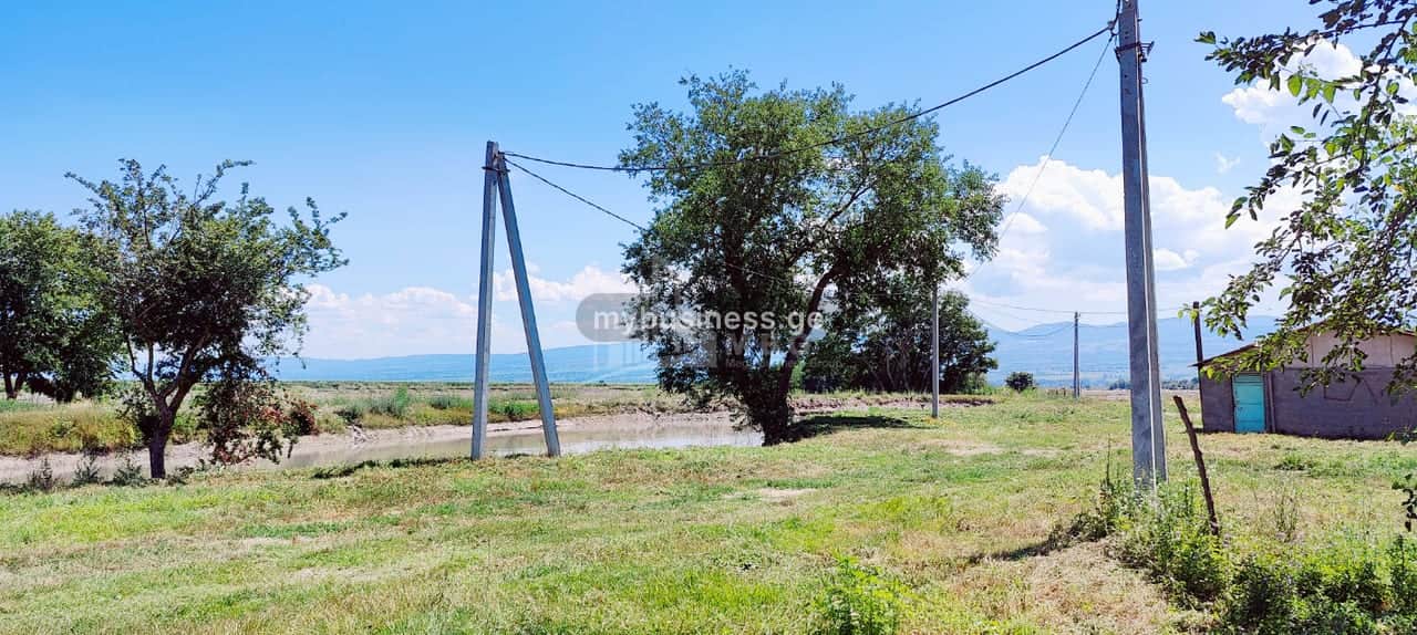 იყიდება მიწის ნაკვეთი ყვარელში (20/20)