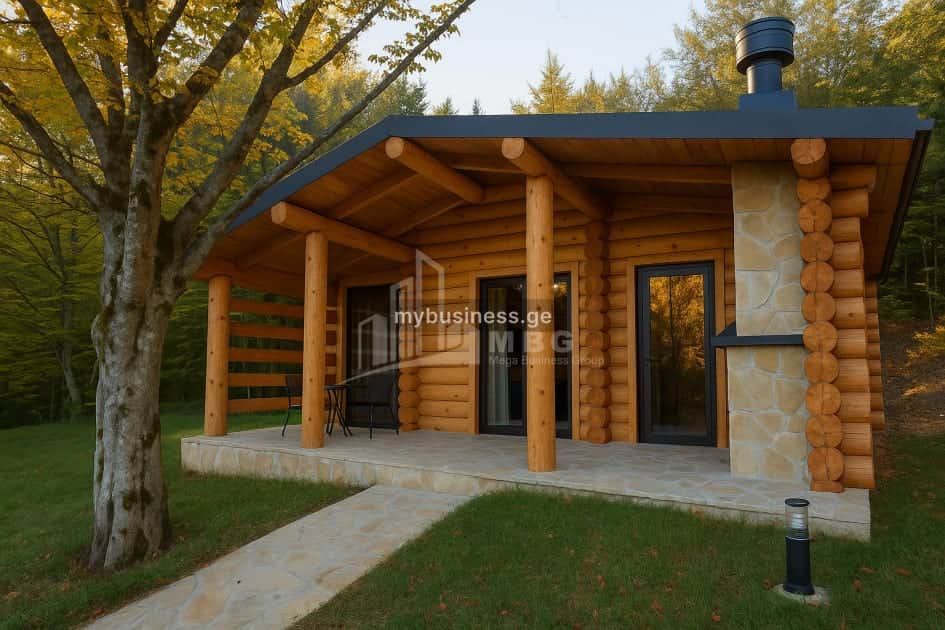იყიდება გასართობი ობიექტი (13/20)
