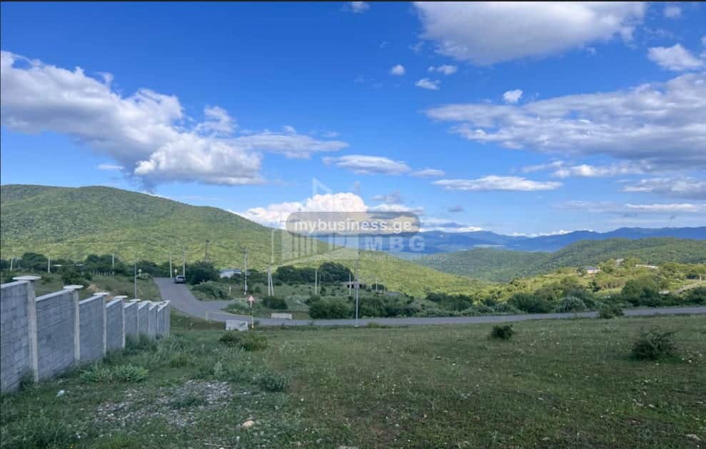იყიდება მიწის ნაკვეთი (1/9)