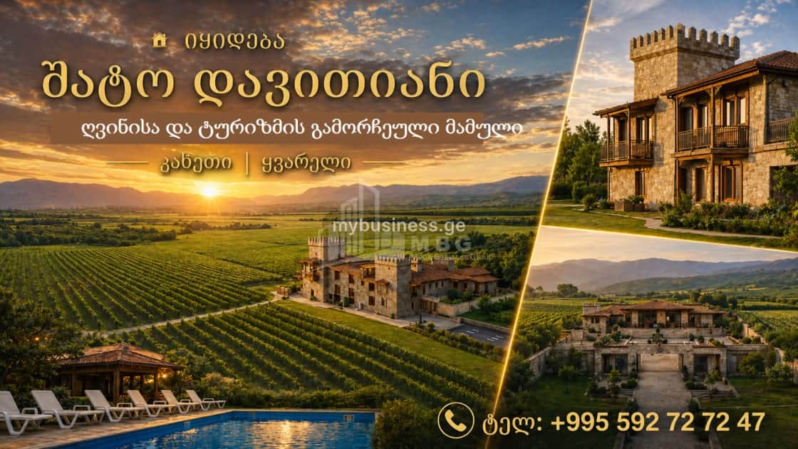 იყიდება ღვინის ქარხანა ყვარელში (1/20)