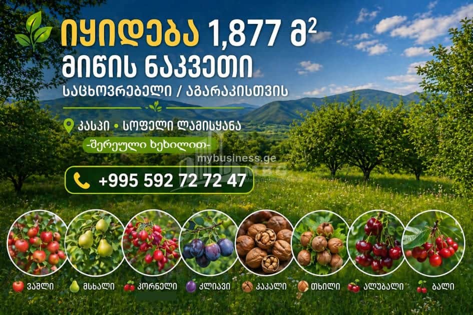 იყიდება მიწის ნაკვეთი კასპში (1/14)
