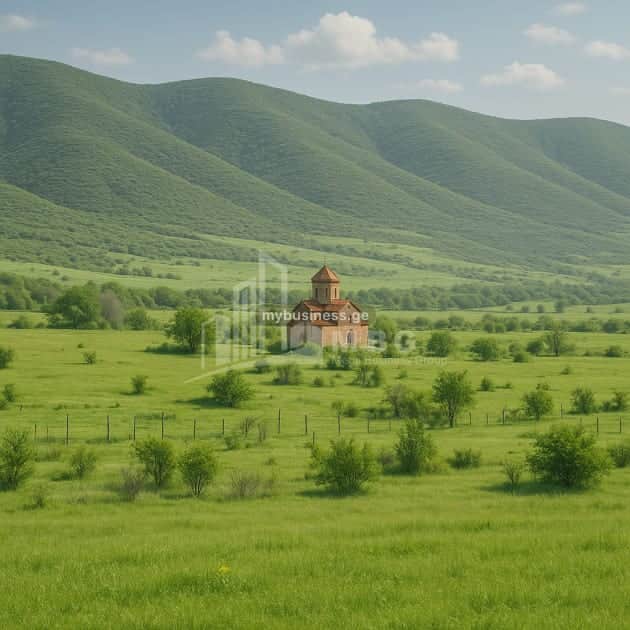 იყიდება მიწის ნაკვეთი (1/10)