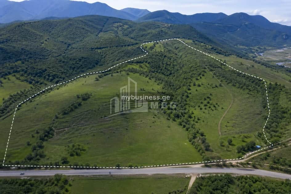 იყიდება მიწის ნაკვეთი დუშეთში (3/15)