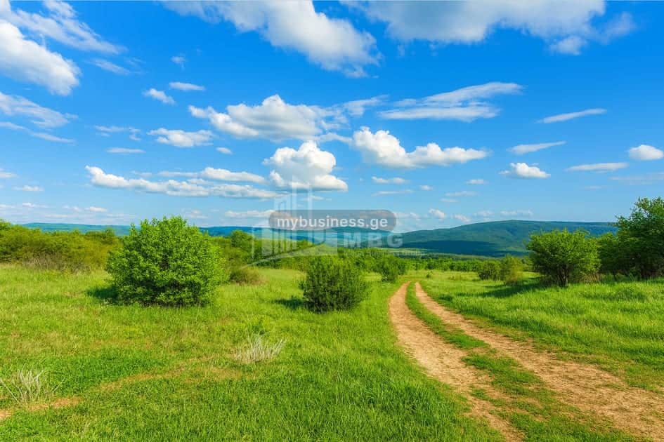 იყიდება მიწის ნაკვეთი დუშეთში (9/15)