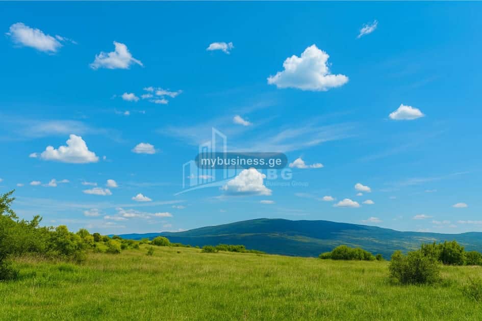 იყიდება მიწის ნაკვეთი დუშეთში (10/15)