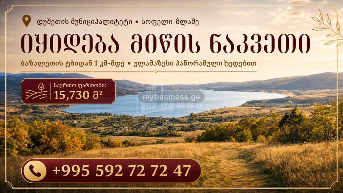 იყიდება მიწის ნაკვეთი დუშეთში (1/8)
