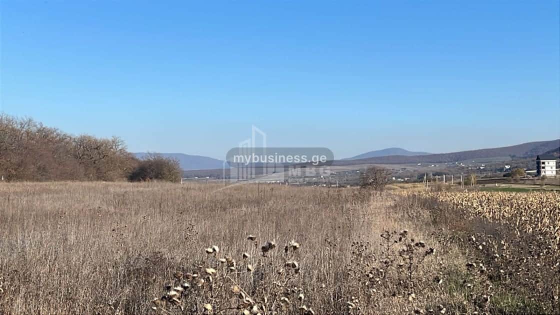 იყიდება მიწის ნაკვეთი დუშეთში (8/8)