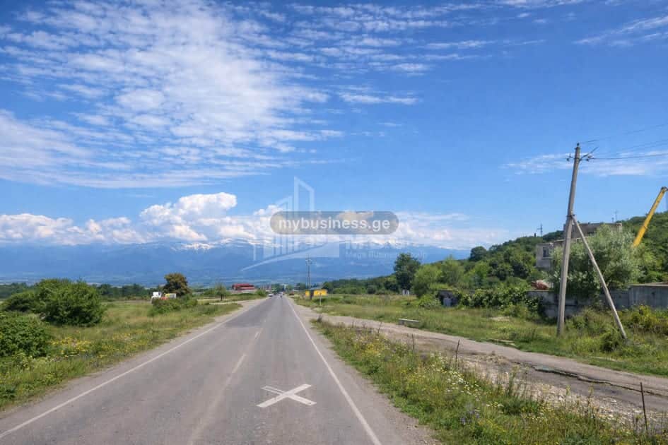 იყიდება მიწის ნაკვეთი თელავში (11/11)