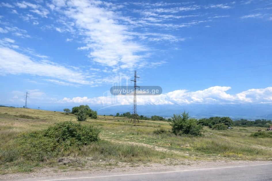 იყიდება მიწის ნაკვეთი თელავში (5/11)