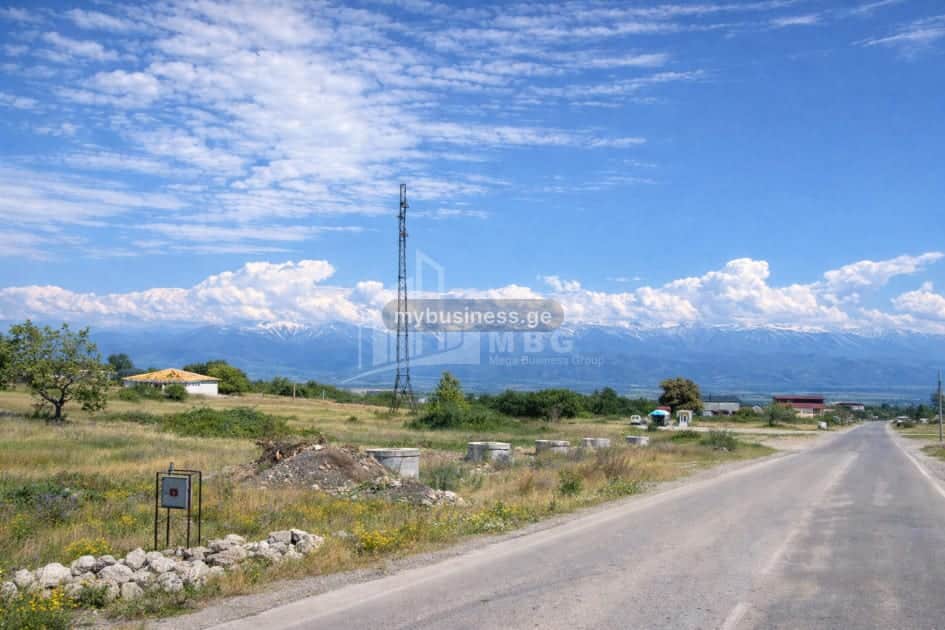 იყიდება მიწის ნაკვეთი თელავში (7/11)