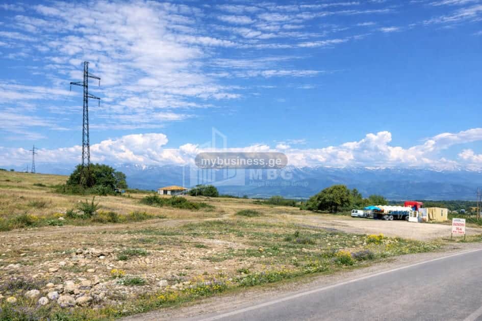 იყიდება მიწის ნაკვეთი თელავში (9/11)