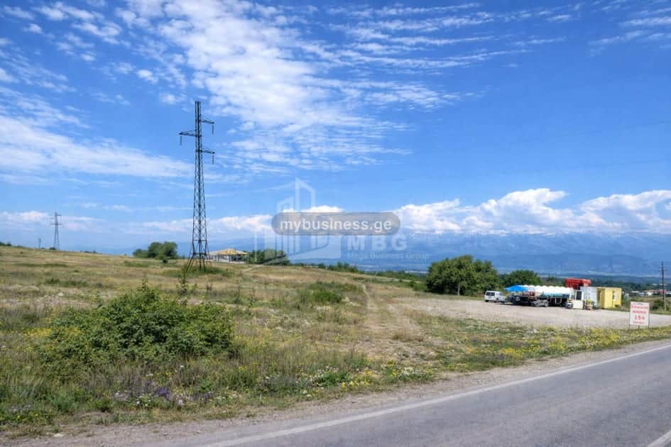 იყიდება მიწის ნაკვეთი თელავში (10/11)