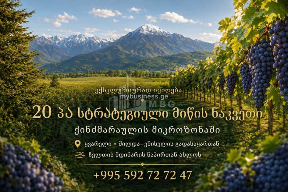 იყიდება მიწის ნაკვეთი ყვარელში (1/20)
