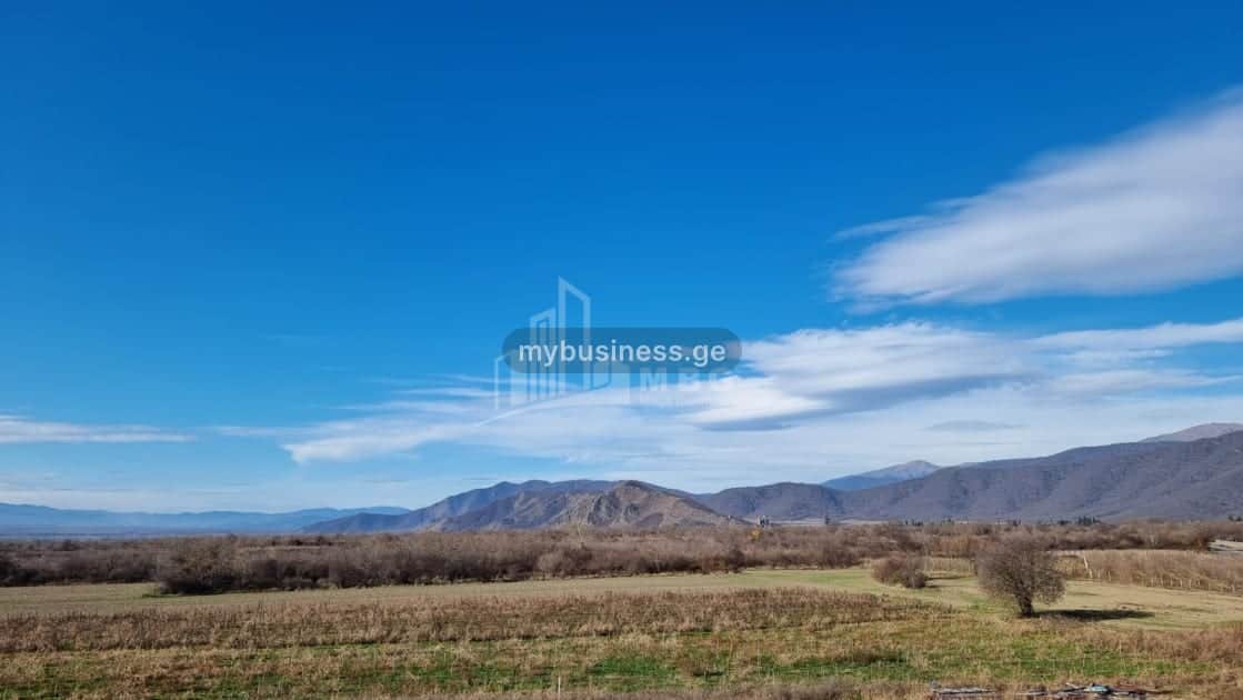 იყიდება მიწის ნაკვეთი ყვარელში (11/20)