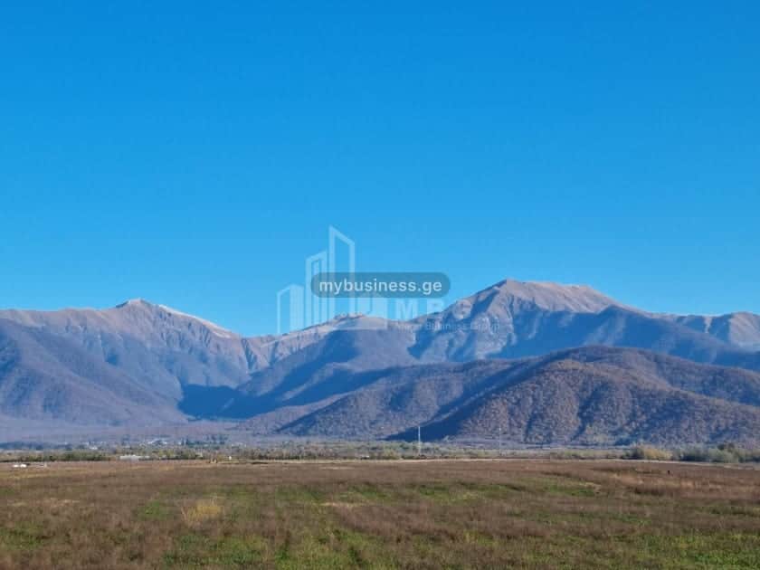 იყიდება მიწის ნაკვეთი ყვარელში (13/20)