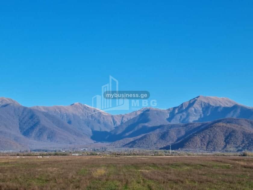 იყიდება მიწის ნაკვეთი ყვარელში (14/20)