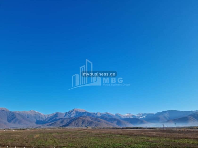იყიდება მიწის ნაკვეთი ყვარელში (19/20)