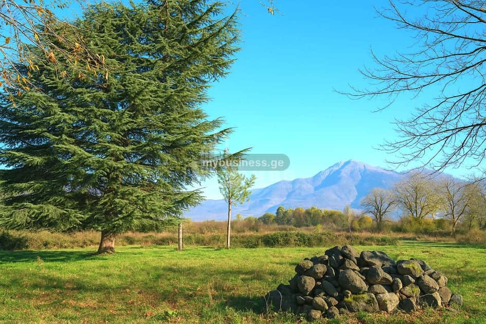 იყიდება მიწის ნაკვეთი ყვარელში (3/20)