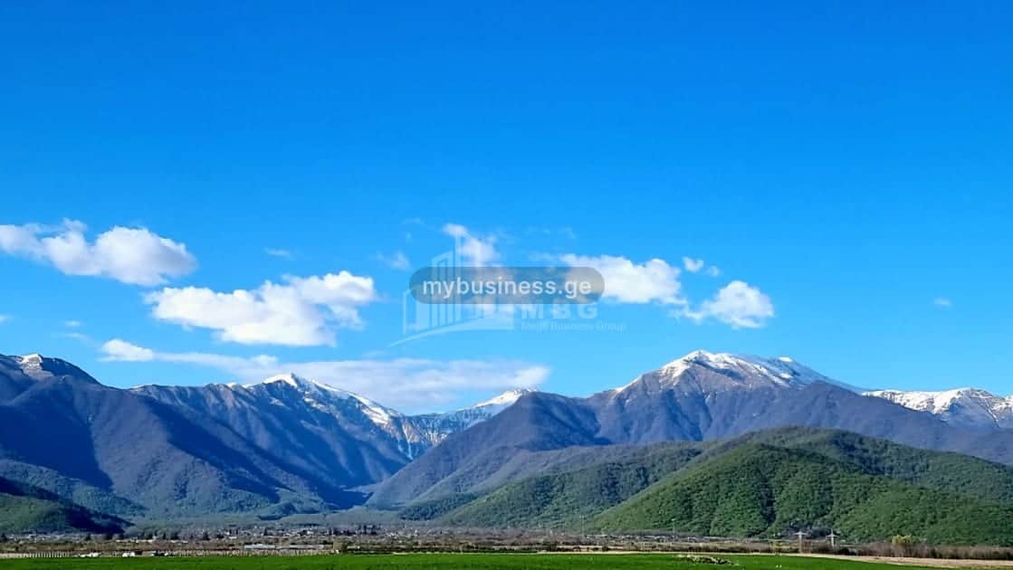 იყიდება მიწის ნაკვეთი ყვარელში (10/20)