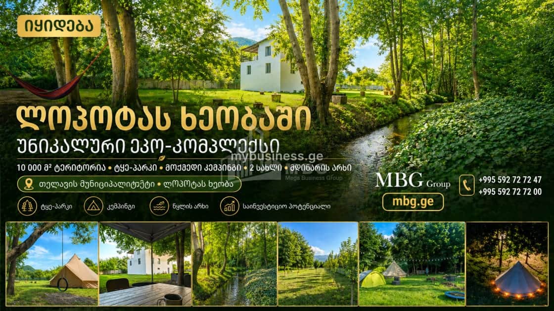 იყიდება გასართობი ობიექტი თელავში (1/20)