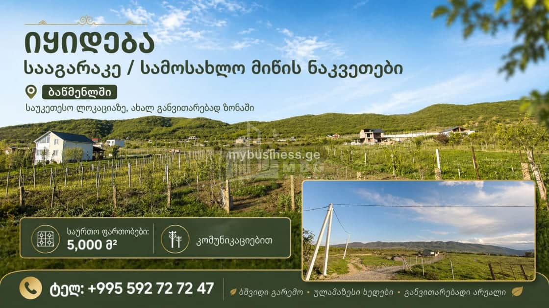 იყიდება მიწის ნაკვეთი (1/3)