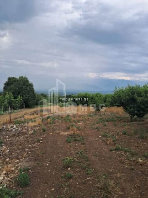 იყიდება მიწის ნაკვეთი თელავში (8/20)