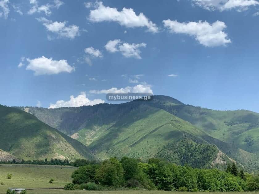 იყიდება სასტუმრო ბორჯომში (5/13)