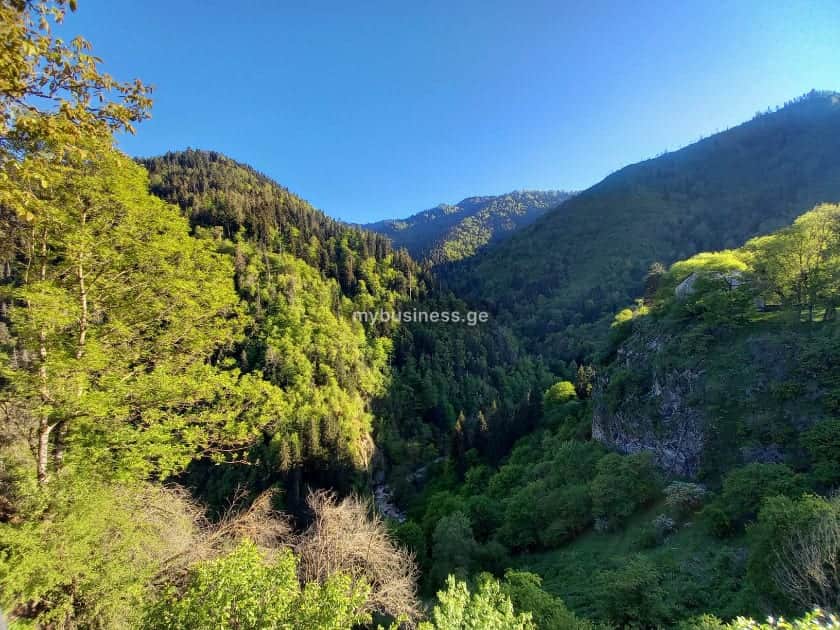 იყიდება სასტუმრო ბორჯომში (9/13)