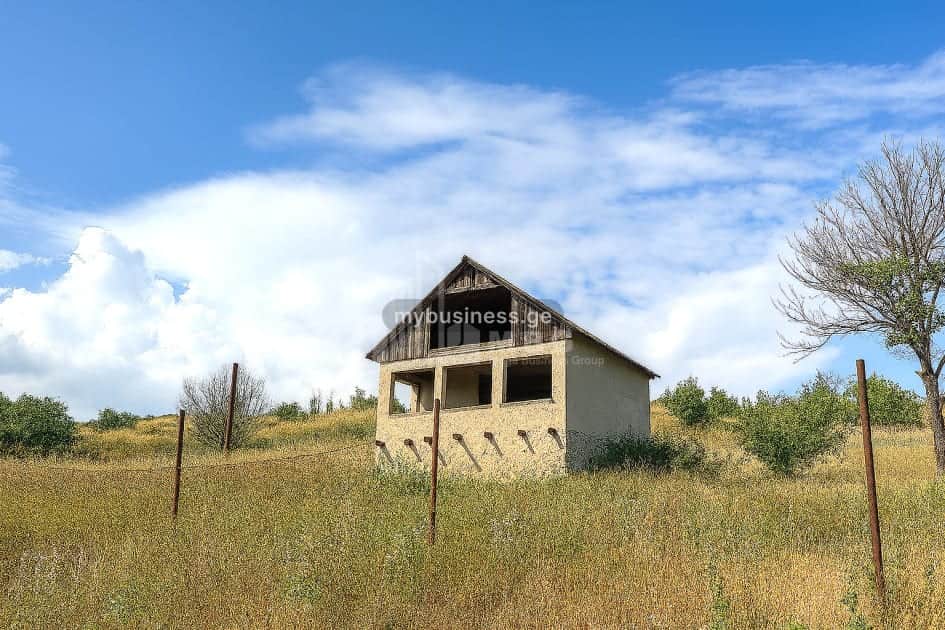 იყიდება მიწის ნაკვეთი დუშეთში (2/10)