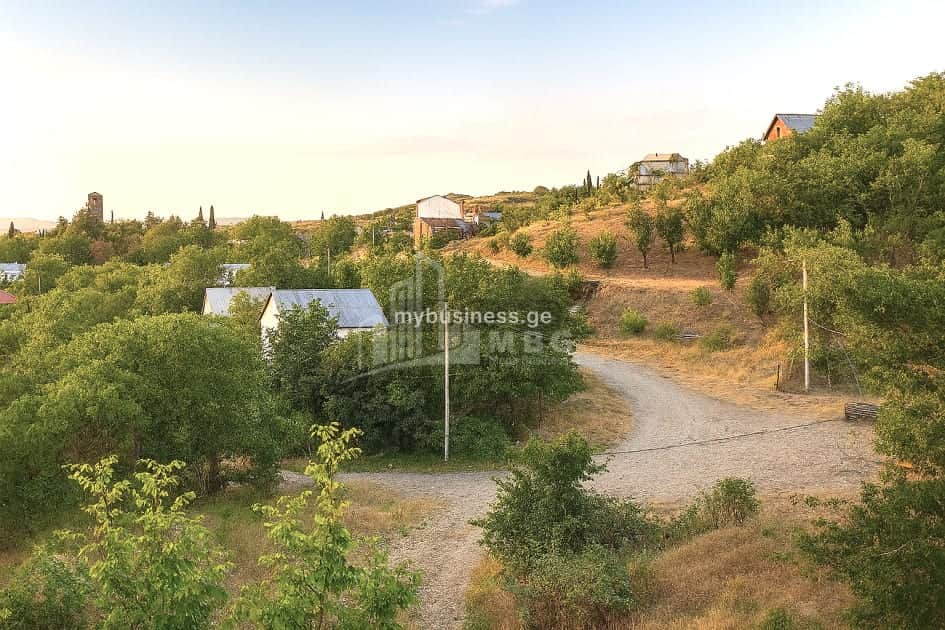 იყიდება მიწის ნაკვეთი დუშეთში (3/10)
