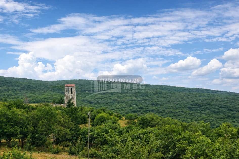 იყიდება მიწის ნაკვეთი დუშეთში (5/10)