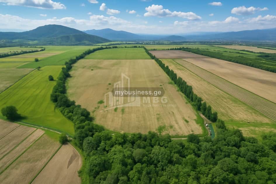 იყიდება მიწის ნაკვეთი თელავში (6/20)