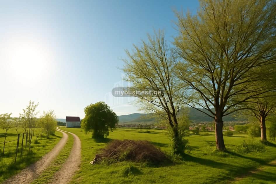 იყიდება მიწის ნაკვეთი (1/3)