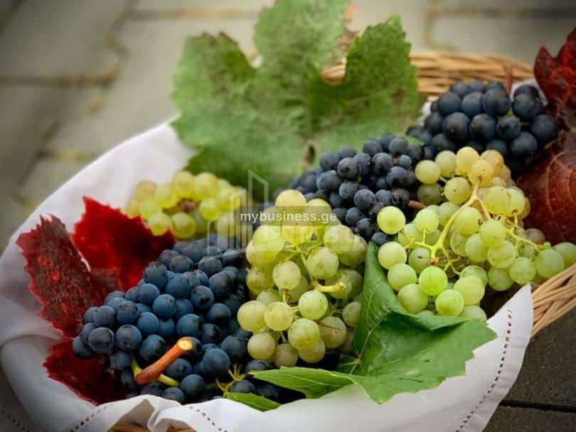იყიდება ღვინის ქარხანა გორში (8/9)