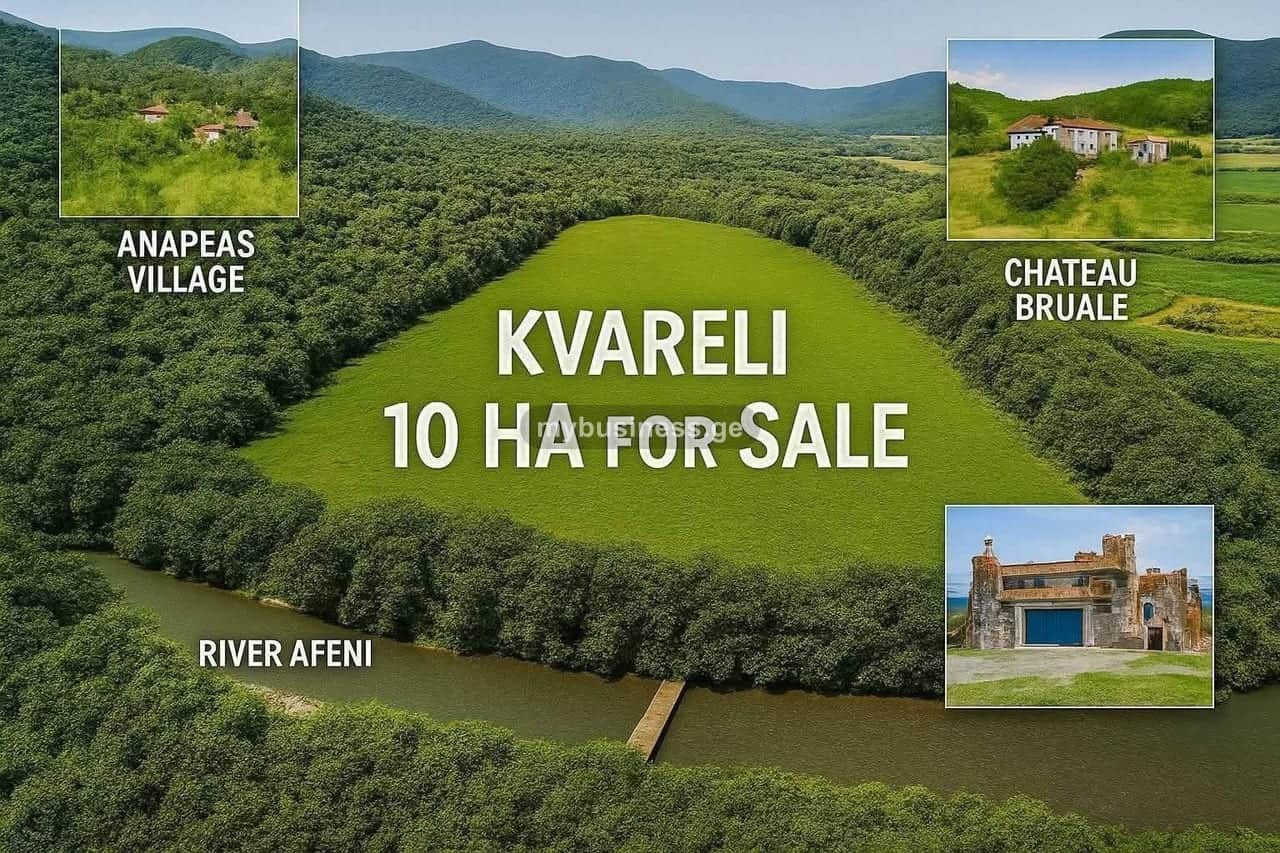 იყიდება მიწის ნაკვეთი ყვარელში (2/3)