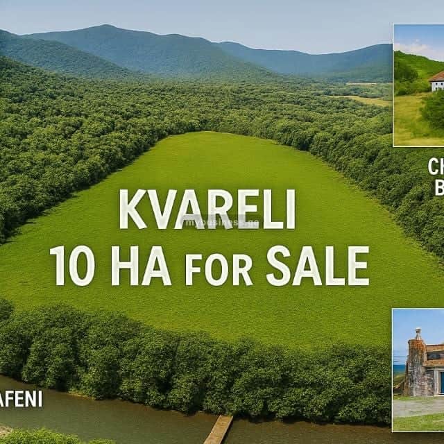 იყიდება მიწის ნაკვეთი ყვარელში (3/3)