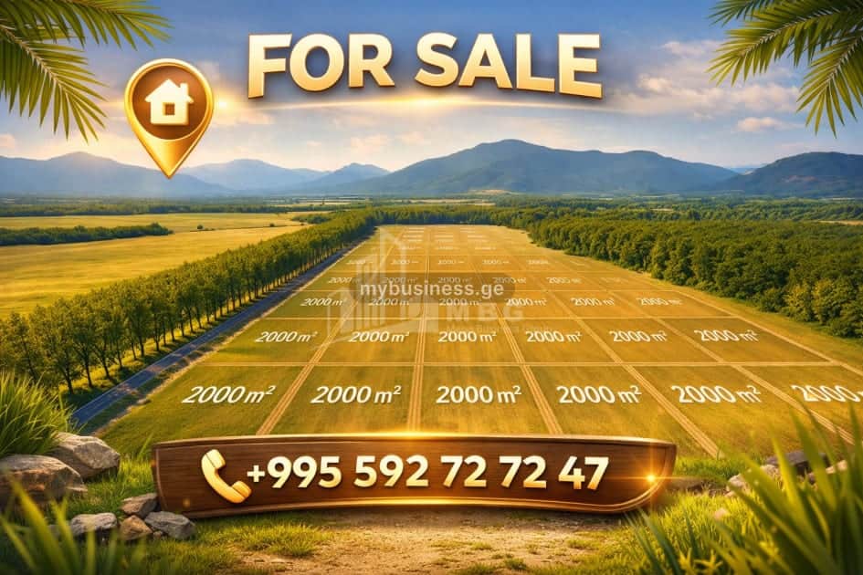 იყიდება მიწის ნაკვეთი (1/4)
