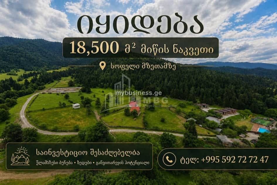 იყიდება მიწის ნაკვეთი ბორჯომში (1/15)
