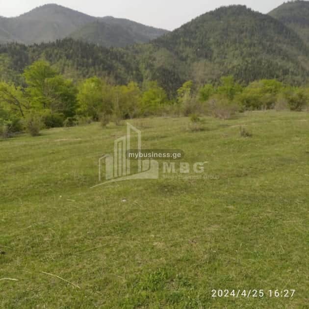 იყიდება მიწის ნაკვეთი ბორჯომში (11/15)