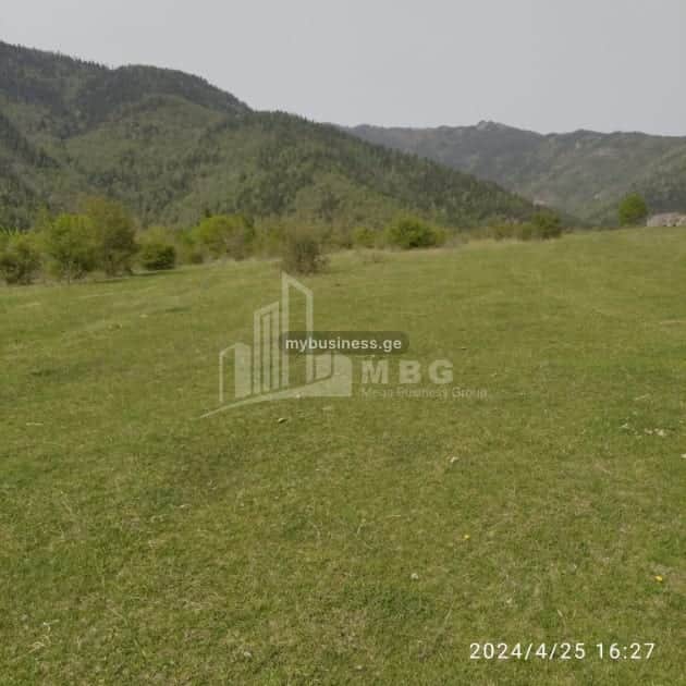 იყიდება მიწის ნაკვეთი ბორჯომში (12/15)