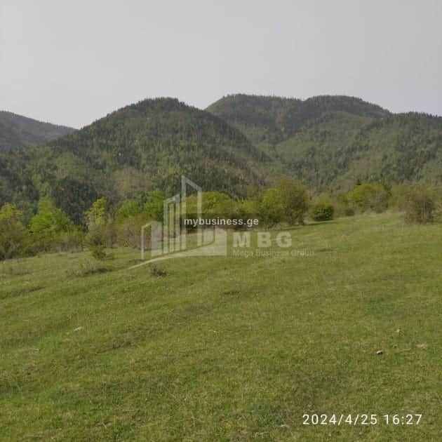 იყიდება მიწის ნაკვეთი ბორჯომში (15/15)