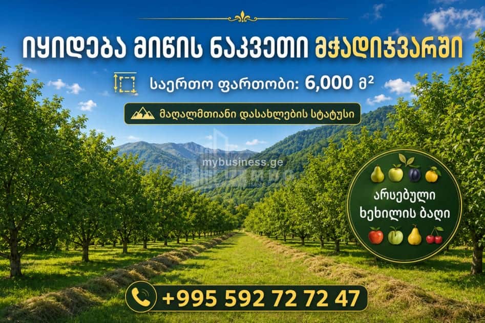 იყიდება მიწის ნაკვეთი დუშეთში (1/10)