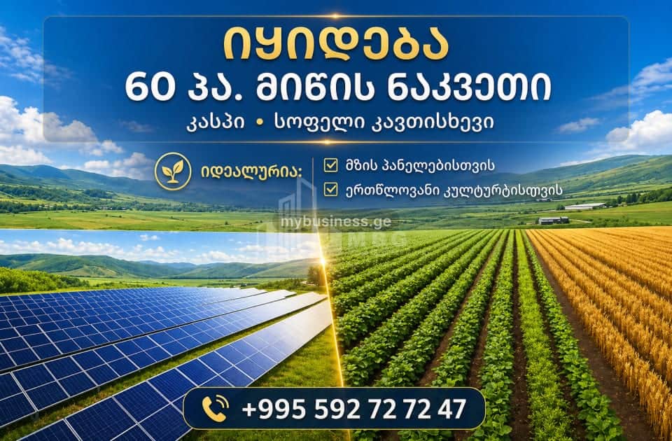 იყიდება მიწის ნაკვეთი კასპში (1/6)