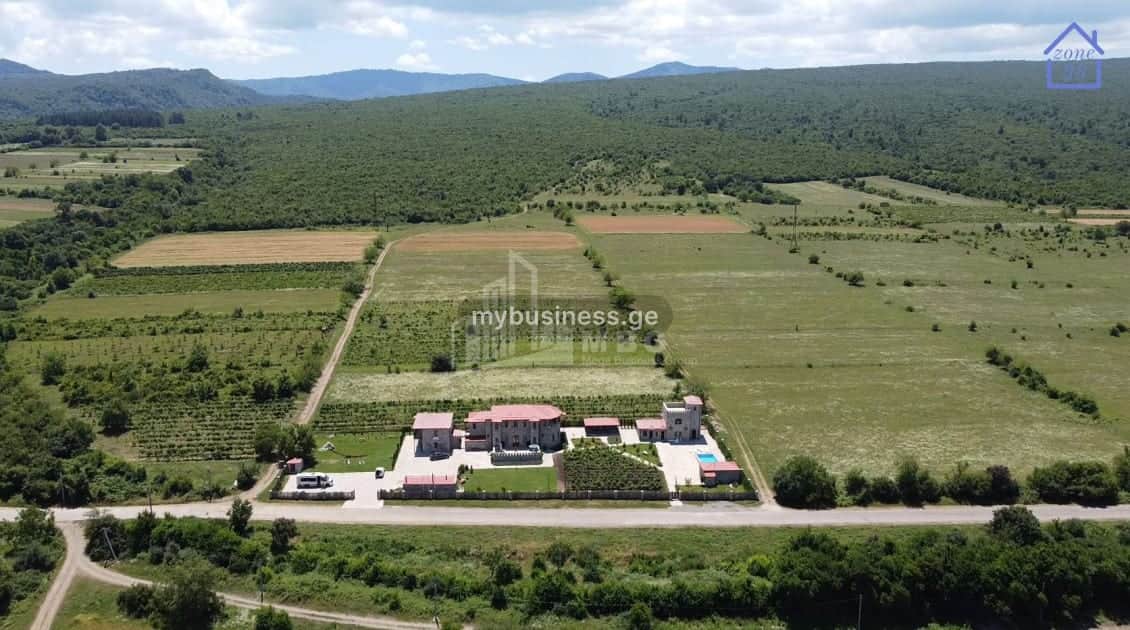 იყიდება ღვინის ქარხანა თელავში (12/20)