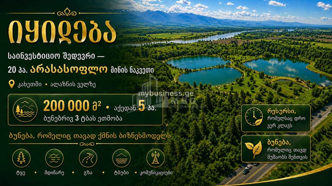 იყიდება მიწის ნაკვეთი თელავში (1/20)