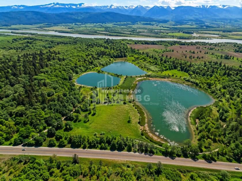 იყიდება მიწის ნაკვეთი თელავში (8/20)